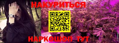 крисы Коммунар