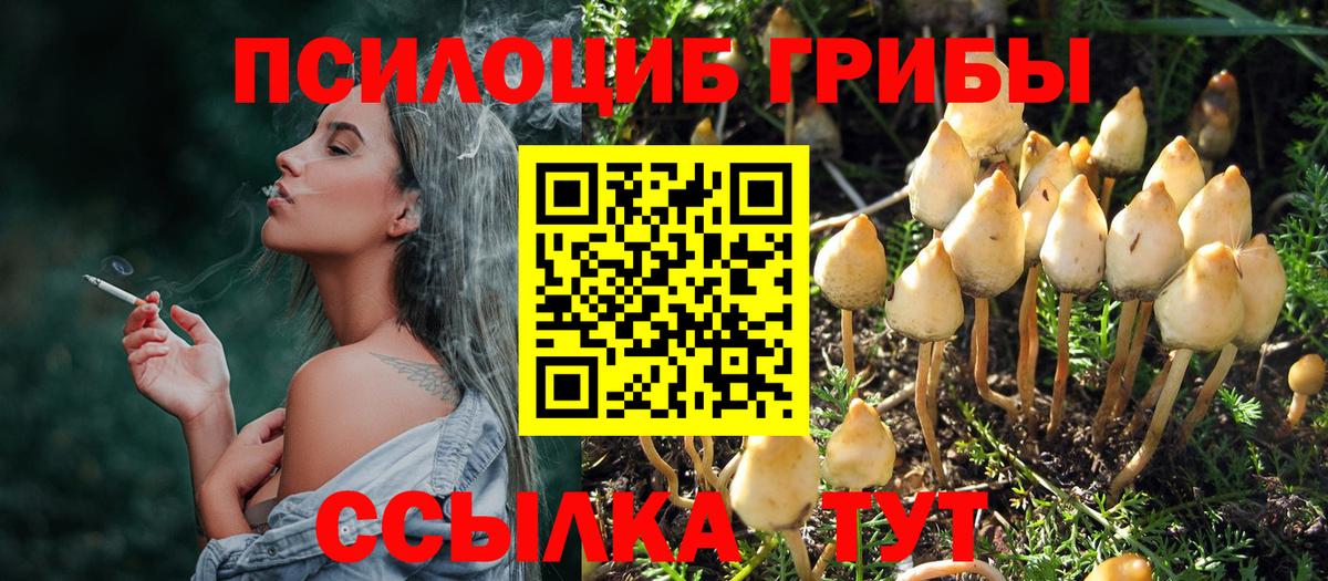 Псилоцибиновые грибы ЛСД Каменск-Шахтинский