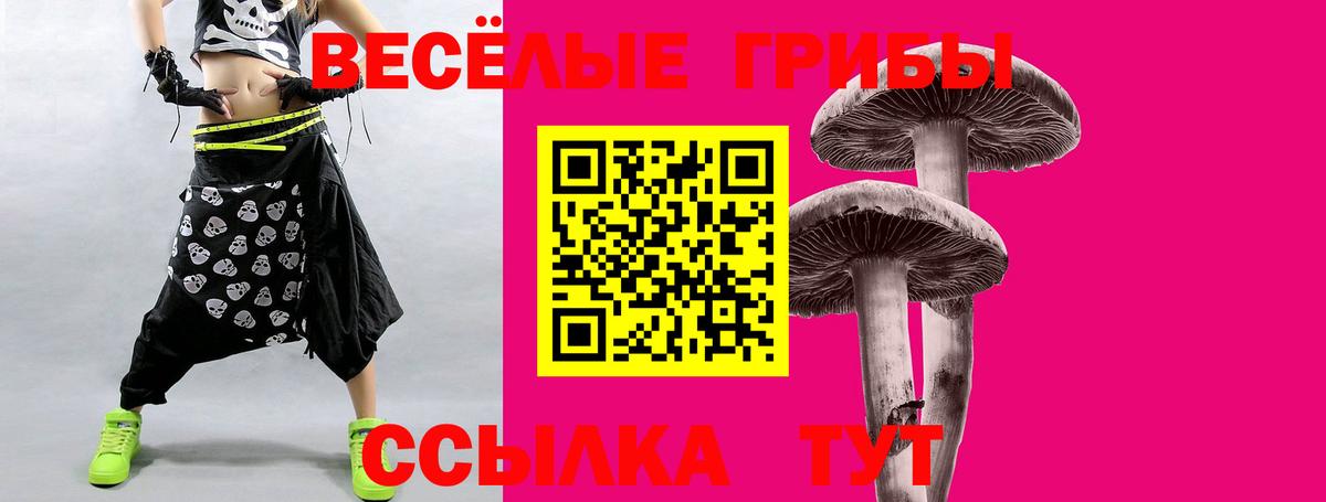 Псилоцибиновые грибы MAGIC MUSHROOMS  Вход с VPN  Каменск-Шахтинский 